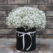 Цветочная композиция из Гипсофила в шляпной коробке в Гороховке